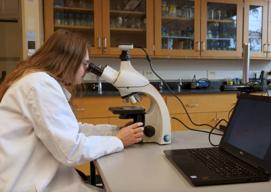 Erica Behnfeldt working with microscope